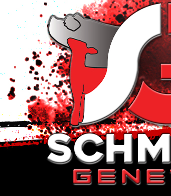 Schminke's Genetics