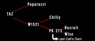 Taz Pedigree
