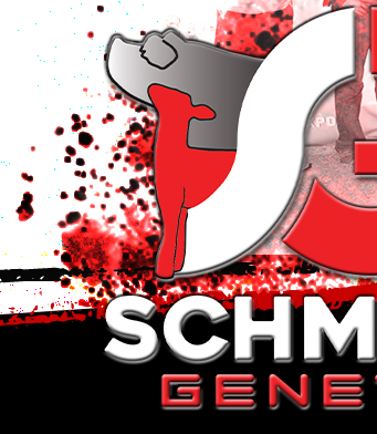 Schminke's Genetics