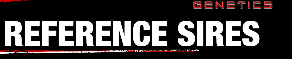 Reference Sires