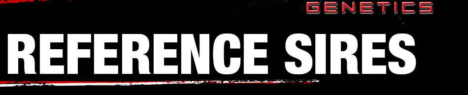 Reference Sires