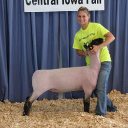 Schminke Winner