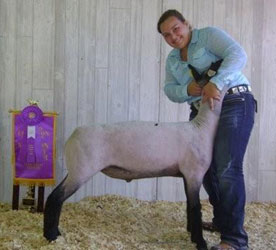 Schminke Winner