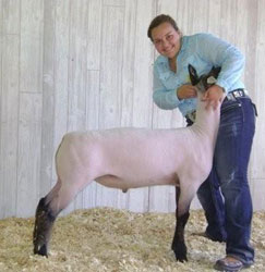 Schminke Winner