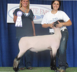Schminke Winner