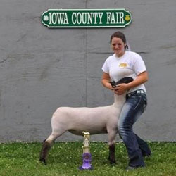 Schminke Winner