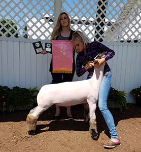 Schminke Winners