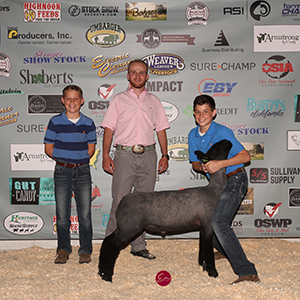 Schminke Club Lambs Winners