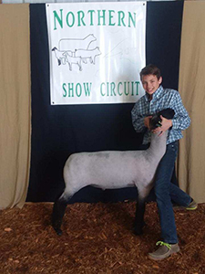 Schminke Club Lambs Winners