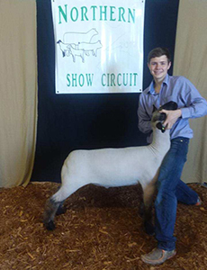 Schminke CLub Lambs Winners