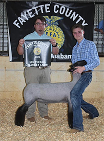 Schminke Winners