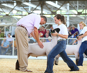 Schminke Genetics Winners