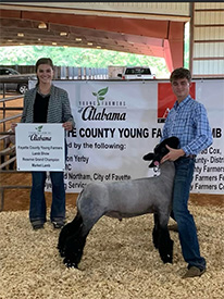 Schminke Winners