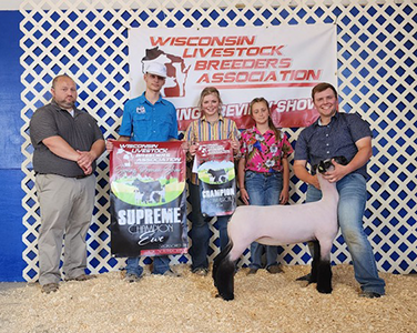 Supreme Ewe WLBA Spring Preview